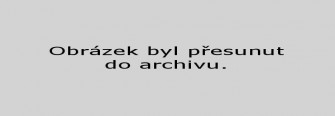 Josef-fousek-denik-stareho-muze-1