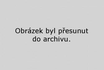 profesionální degustace vína profesionální degustace vína